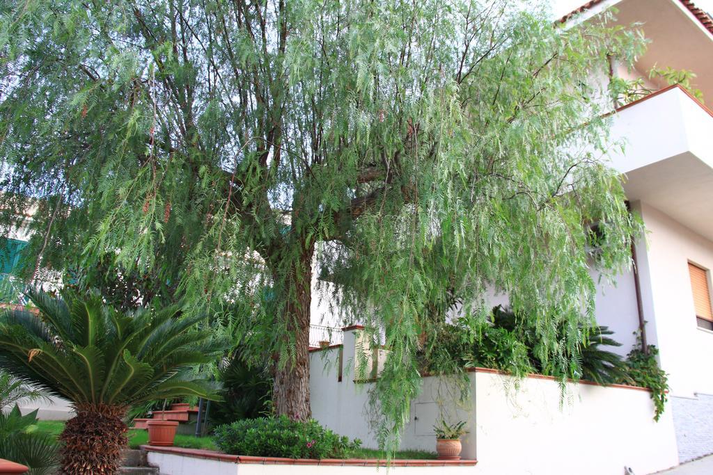 B&B La Piccola Oasi Lazzaro Cameră foto